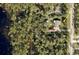 Aerial view of a house on a large lot with surrounding trees at 41913 Cassia St, Eustis, FL 32736