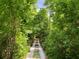 Sandy driveway leading into a wooded area at 41913 Cassia St, Eustis, FL 32736