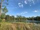 Scenic lakefront property with trees at 41913 Cassia St, Eustis, FL 32736