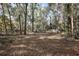 Large backyard space, partially wooded at 5870 Se 158Th Ct, Ocklawaha, FL 32179