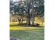 Expansive backyard with mature trees at 7023 Arcadian Ct, Mount Dora, FL 32757