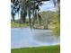 Scenic view of a lake with trees at 7023 Arcadian Ct, Mount Dora, FL 32757