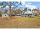 Large backyard with shed and mature trees at 10830 Anna Belle Ave, Leesburg, FL 34788