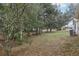 Landscaped side yard with mature trees and shrubs at 17461 Se 93Rd Retford Ter, The Villages, FL 32162