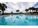 Large swimming pool with lane markers, palm trees, and community seating for leisure and exercise at 2209 Stonebridge Way, Clermont, FL 34711