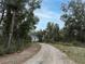 Gravel driveway leading to a home through a wooded area at 3493 Edwards Road, Lady Lake, FL 32159