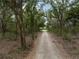 Long gravel driveway through a wooded area at 3493 Edwards Road, Lady Lake, FL 32159