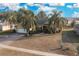 Aerial view of a one-story home with three tall palm trees in the front yard at 35808 Rose Moss Ave, Leesburg, FL 34788