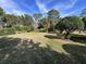 Spacious backyard featuring well-manicured lawn at 1895 Country Club Blvd, Mount Dora, FL 32757