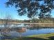 Scenic view of a tranquil lake with lush greenery and a blue sky at 24825 Pine Hl, Leesburg, FL 34748