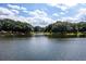 Serene lake view with lush trees at 26607 Racquet Cir, Leesburg, FL 34748