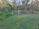 Overgrown backyard with trees and some debris at 29 Lonesome Pine Trl, Yalaha, FL 34797