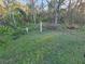 Wooded backyard with overgrown vegetation at 29 Lonesome Pine Trl, Yalaha, FL 34797