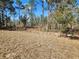 View of acreage property with trees at 8101 Sw 128Th Loop, Ocala, FL 34473