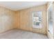 Bright bedroom featuring wood paneling, carpet, and a window at 11 Orangewood Dr, Fruitland Park, FL 34731