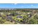 Overhead view shows the property's spacious layout, pool, and lake in the distance at 29319 Old Mill E, Tavares, FL 32778