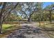 View of the home through mature trees from the gravel driveway at 3380 Cr 528, Sumterville, FL 33585