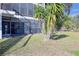 Backyard with grassy area and trees at 4668 Tower Pine Rd # Ge, Orlando, FL 32839