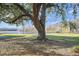 Large oak tree near lake at 4668 Tower Pine Rd # Ge, Orlando, FL 32839