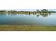 Picturesque view of the tranquil pond, highlighting the serene and natural surroundings of the property at 8920 Bridgeport Bay Cir, Mount Dora, FL 32757