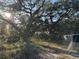 Overgrown lot with trees and shed at 1109 Pioneer Trl, Leesburg, FL 34748