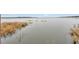 Expansive waterfront view featuring serene lake with natural vegetation at 13 Sunrise Trl, Fruitland Park, FL 34731