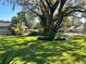 Spacious backyard with lush lawn, large tree, and black fence at 208 First St, Tavares, FL 32778