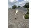 Close-up aerial view of a roof showcasing its architectural shingles and ventilation at 2420 Prairie Dunes, Clermont, FL 34711