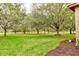 Landscaped backyard with mature trees and a view of a golf course at 25921 San Rafael Ct, Howey In The Hills, FL 34737