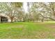 Expansive backyard showcasing a tranquil green lawn and mature trees at 25921 San Rafael Ct, Howey In The Hills, FL 34737