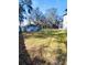 Spacious backyard with shed and mature trees at 33025 Jodee Ct, Leesburg, FL 34788