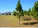 Line of trees providing privacy and shade to the backyard at 37146 Calhoun Rd, Eustis, FL 32736