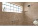 Walk-in shower with glass block window and grab bar at 4348 Tuscaloosa Path, The Villages, FL 32163