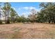 Spacious backyard with mature trees and open grassy area at 6832 Maryland Ave, Groveland, FL 34736