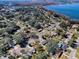 Community overview near the lake at 1415 Park Ave, Tavares, FL 32778
