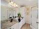 Bathroom featuring a single sink vanity, framed mirror, walk-in shower, and light wood floors at 1613 Cherry Hill Rd, The Villages, FL 32159