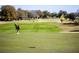 Personal putting on a manicured green at 5312 Meadow Hill Loop, Lady Lake, FL 32159