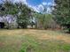 Large backyard with lush trees and pond view at 5812 Ansley Way, Mount Dora, FL 32757