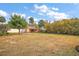 Large backyard with detached workshop and lush landscaping at 7206 Earlwood Ave, Mount Dora, FL 32757