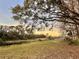 Sunset view over a tranquil backyard with pond and lush greenery at 105 Royal Palm Dr, Leesburg, FL 34748