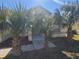 Front entrance with palm trees and a walkway at 16154 Magnolia Hill St, Clermont, FL 34714