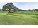 View of the lush green golf course at 1711 Lilly Ln, The Villages, FL 32159