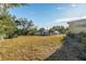 Large backyard with grassy area and storage shed at 37610 Quail Ridge Cir, Leesburg, FL 34788