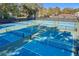 Multiple pickleball courts in a sunny area at 40 Moree Loop # 1, Winter Springs, FL 32708