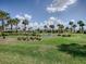 A lush green golf course is complemented by mature palm trees and a beautifully landscaped area under a sunny sky at 802 Nancy Dr, The Villages, FL 32163