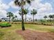 Picturesque landscape showcasing lush green grass, palm trees, and well-manicured landscaping at 802 Nancy Dr, The Villages, FL 32163