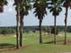 View of Spruce Creek golf course from behind palm trees at 8460 Se 137Th Loop, Summerfield, FL 34491