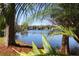 Peaceful lake view from the backyard with lush greenery at 1001 Willa Lake Cir, Oviedo, FL 32765