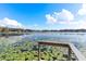 Dock with scenic waterfront view, featuring lily pads and clear skies at 1320 Cove Pl, Tavares, FL 32778