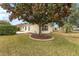 Landscaped backyard with a large magnolia tree and a patio at 1514 Vandam St, The Villages, FL 32162